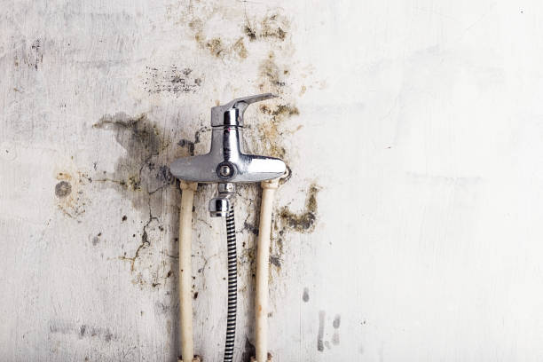 Water Damage Restoration in Silverdale, WA
