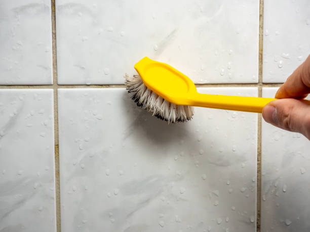 Best Water Damage Restoration  in Silverdale, WA