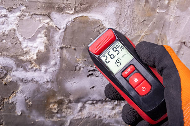 Best Commercial Mold Removal  in Silverdale, WA