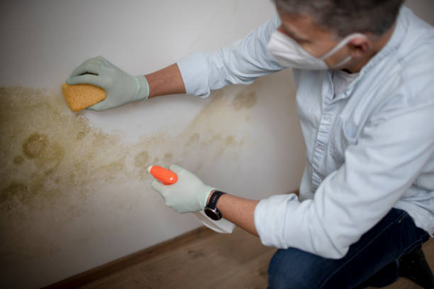 Best Mold Testing  in Silverdale, WA