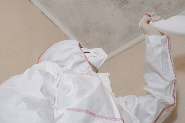 Best Local Mold Removal Service  in Silverdale, WA